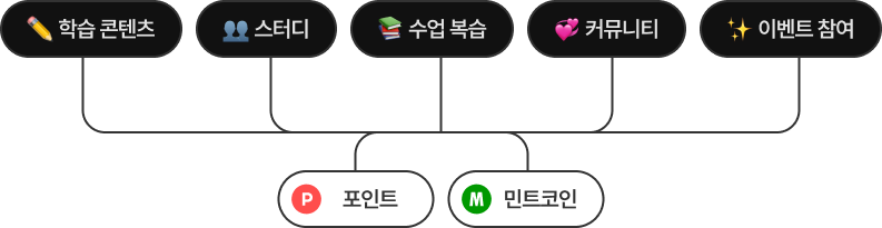 포인트 시스템 그래프