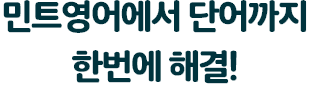민트영어에서 단어까지 한번에 해결!