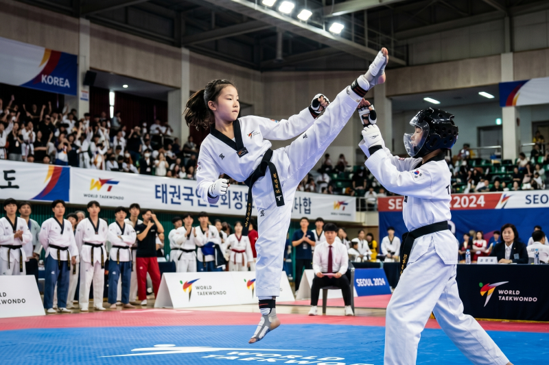 한국의 전통 무예이자 초등생 국룰!
